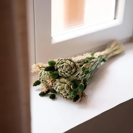 Apartman Vatta Centre Avec Roof Bain A Remous Et Vue Panoramique Bastia